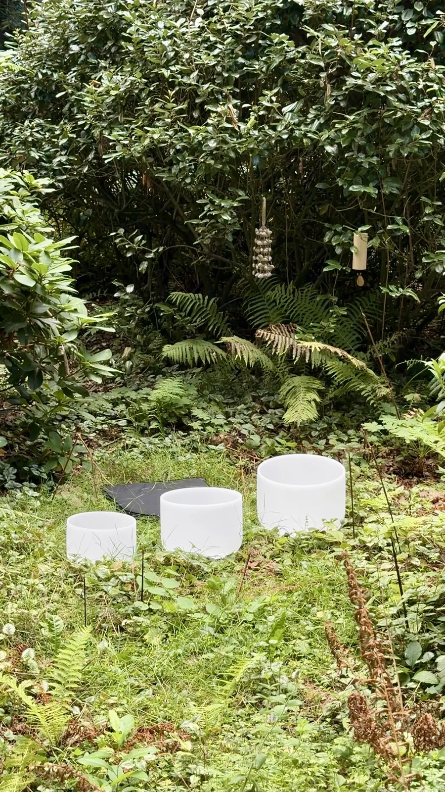 Drie witte kristallen klankschalen op het gras voor varens en struiken in een bostuin